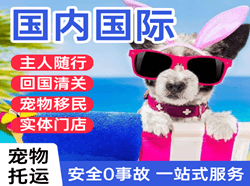 三义空运公司国际宠物托运 【国